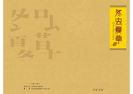 &#107;&#98;&#20307;&#32946;&#40;&#20013;&#22269;&#41;&#23448;&#26041;&#32593;&#31449;&#45;&#30331;&#24405;&#20837;&#21475;